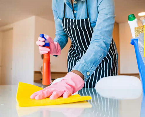 House Maid Services